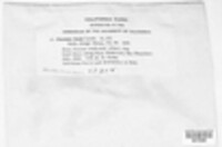 Image Associated With the Occurence